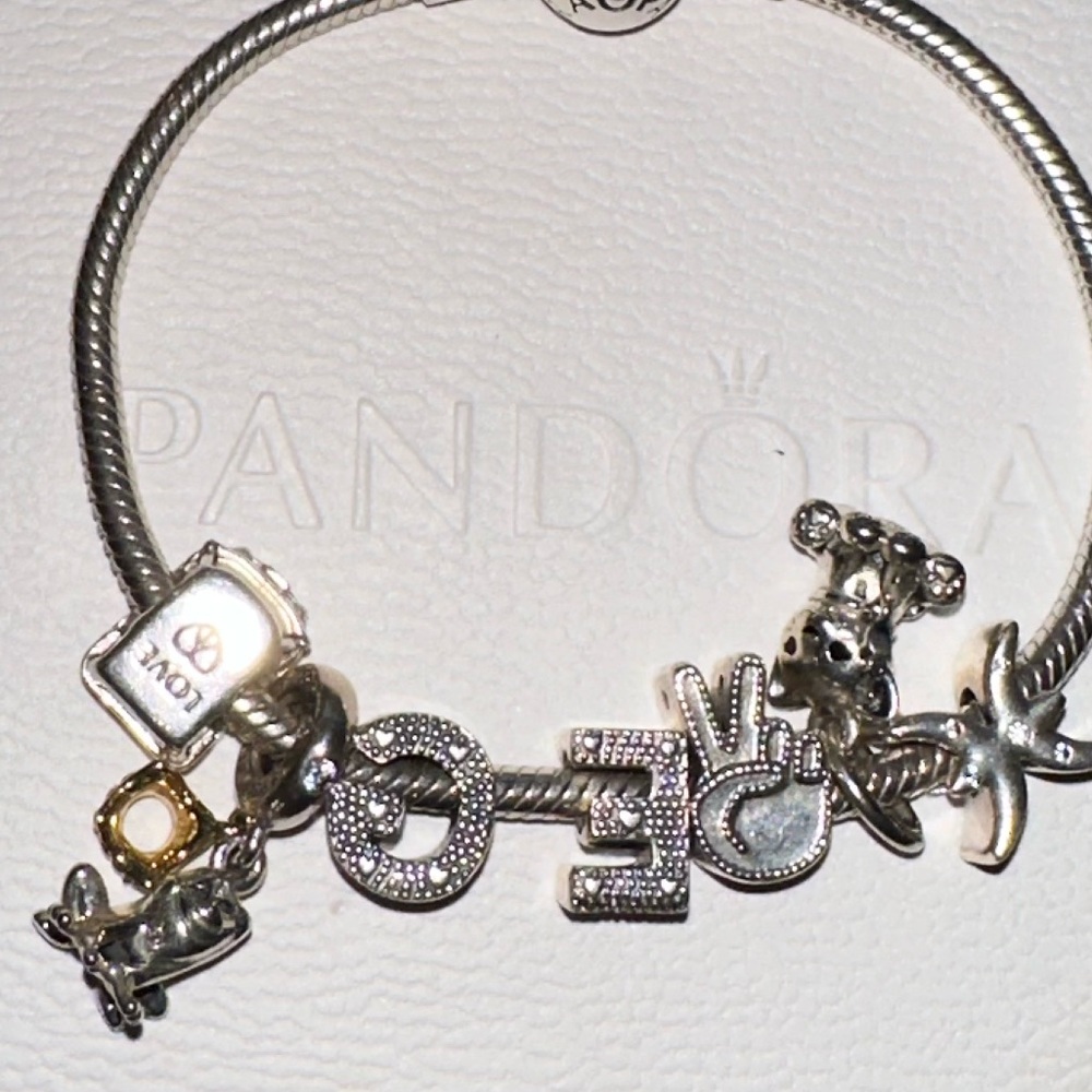 Pandora snake chain bracelet incl. charms